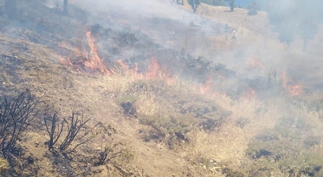 Orman yangını söndürüldü