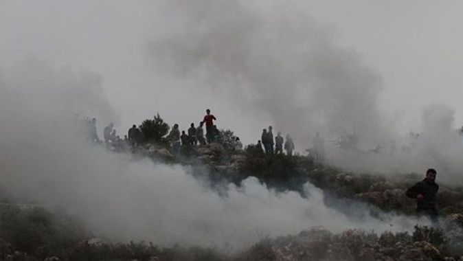 Yahudi yerleşimciler Filistinlilere ait yüzlerce zeytin ağacını ateşe verdi