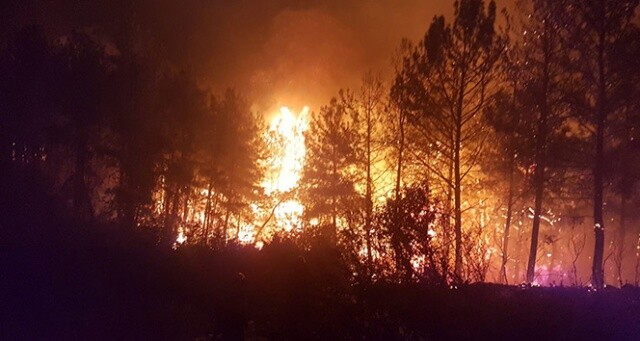 Antalya&#039;da orman yangını