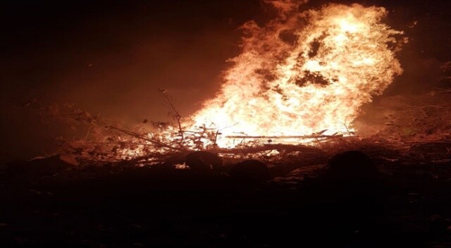 Bir yangın daha! 0.5 hektar kızılçam ormanlık alan küle döndü...