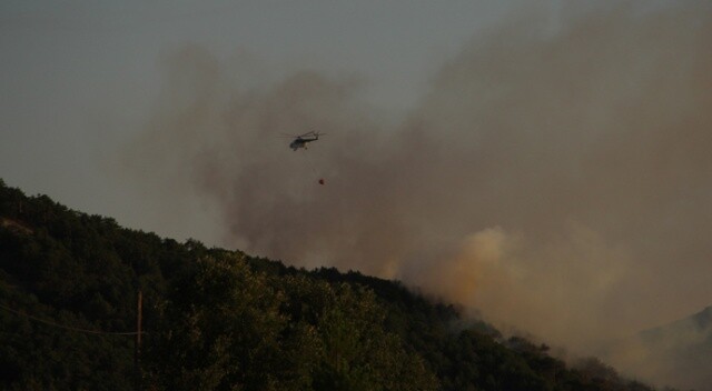 Eskişehir’deki orman yangınını söndürme çalışmaları sürüyor