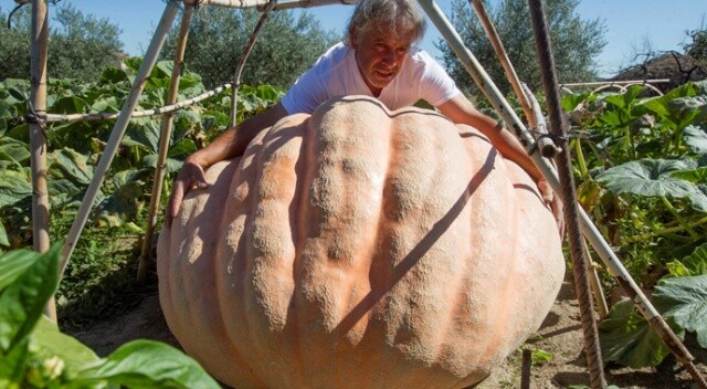 İspanyol çiftçi 215 kiloluk dev kabak yetiştirdi
