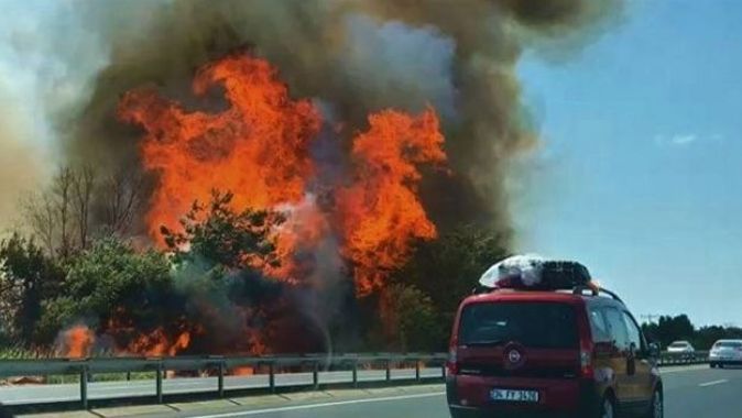 İstanbul - Tekirdağ yolundaki ağaçlık alanda büyük yangın