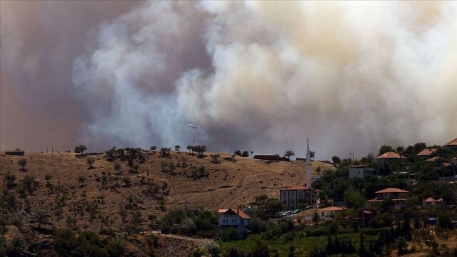 İzmir&#039;de orman yangını