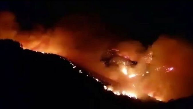 Kanarya Adaları&#039;nda orman yangını