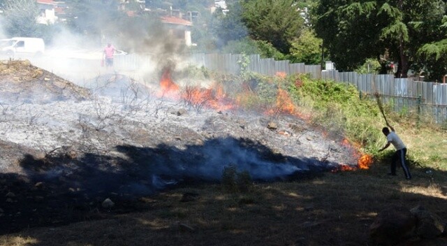 Kartal&#039;da ormanlık alanda yangın