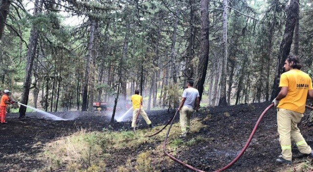 Kütahya&#039;da orman yangını büyümeden söndürüldü