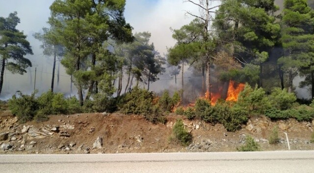 Ciğerlerimiz yanıyor! Bursa&#039;da orman yangını
