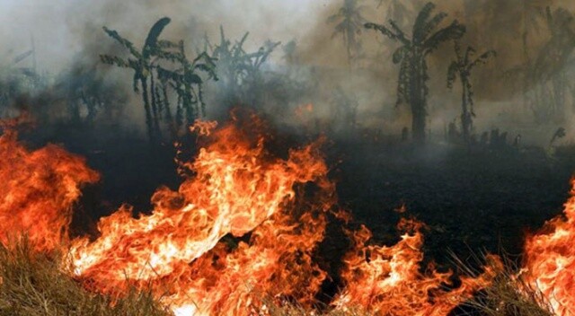 Endonezya&#039;da yangın 60 aileyi evsiz bıraktı