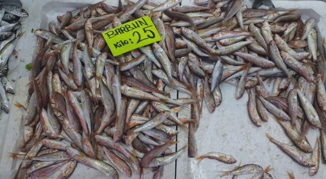 Tezgahta balık fiyatları arttı