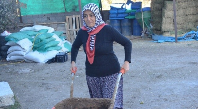4 çocuk annesi kadın hayvancılık yapmak için köye taşındı