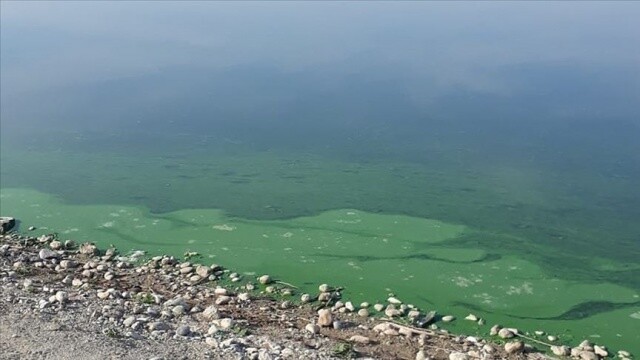 Atatürk Baraj Gölü&#039;nün kıyısında renk değişimi