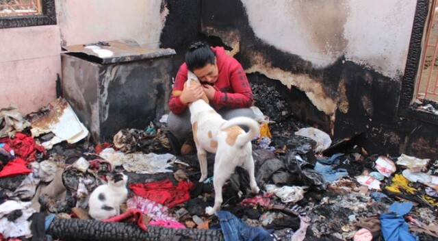 Evleri yanınca 15 kedi ve 2 köpeğiyle evsiz kaldı