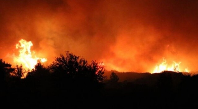 Hatay&#039;daki orman yangını yayılıyor