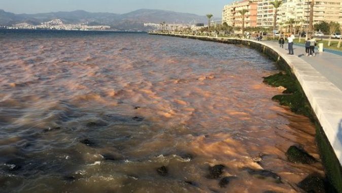 İzmir’de denizin rengi değişti