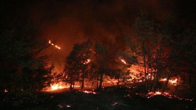 Kahramanmaraş&#039;ta orman yangını