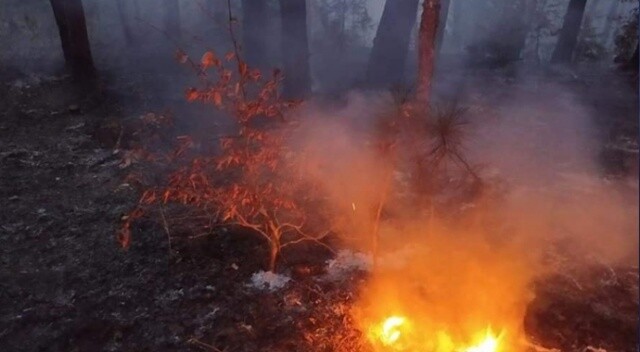 Kastamonu’da 4 hektarlık ormanlık alan yandı