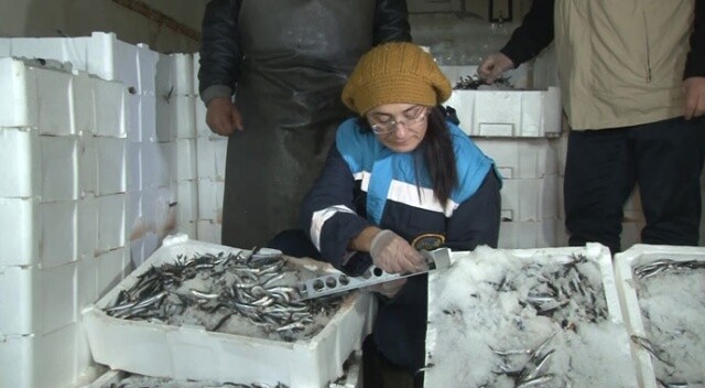 Ankara&#039;da balıkçılara 405 noktada 30&#039;dan fazla ekiple denetim