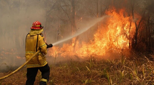 Avustralya’da yangınlar devam ediyor: 744 ev yandı!