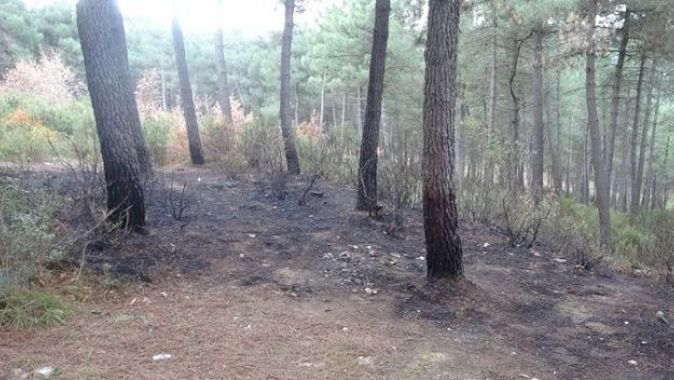 Aydos Ormanı&#039;nda üç ayrı noktada yangın çıktı