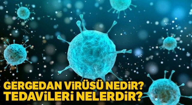 Gergedan virüsü nedir, nasıl tedavi edilir? | Gergedan virüsü belirtileri neler? | Gergedan virüsü bulaşıcı mı?