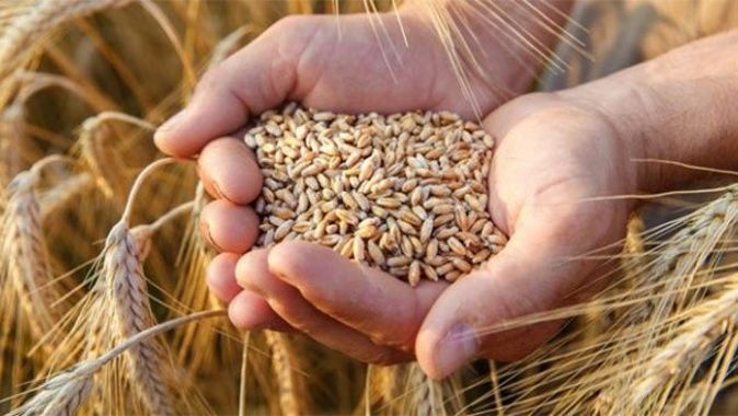 Gıda ve tarım ithalatında buğday, ihracatta fındık öne çıktı