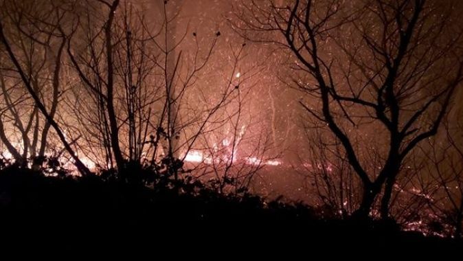 Trabzon&#039;da çıkan orman yangınları ile ilgili Valilik&#039;ten açıklama yapıldı