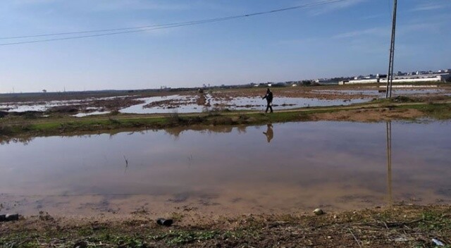 İsrail baraj kapaklarını açtı: Gazzeli çiftçiler 350 bin dolar zarar etti