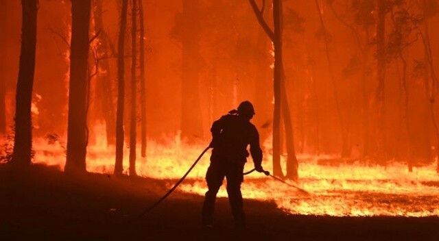 Ukrayna: Avustralya, yangın için yaptığımız teklifi geri çevirdi