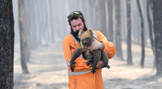 Avustralya’daki yangınlar 113 canlı türünü acil yardıma muhtaç hale getirdi