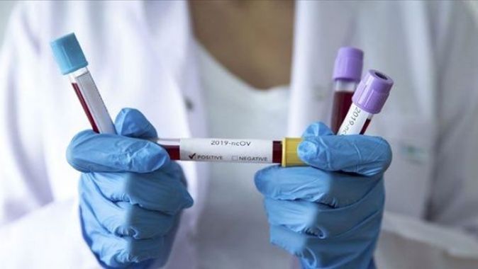 Birleşik Arap Emirlikleri&#039;nde 2 kişide daha koronavirüs tespit edildi