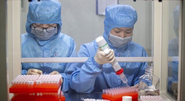 Çin açıkladı: &#039;Aşıyı bulduk&#039;