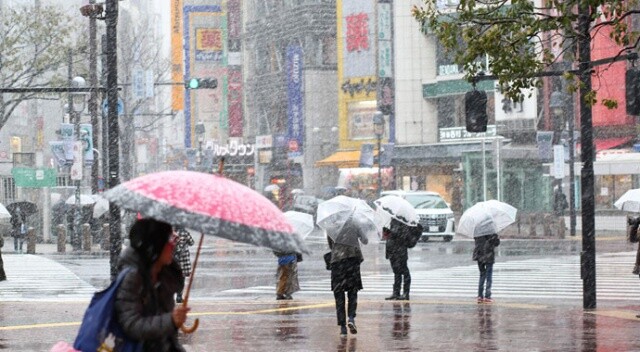 Japonya&#039;da 32 yıl sonra bir ilk! &#039;Sakura&#039; mevsiminde kar yağdı