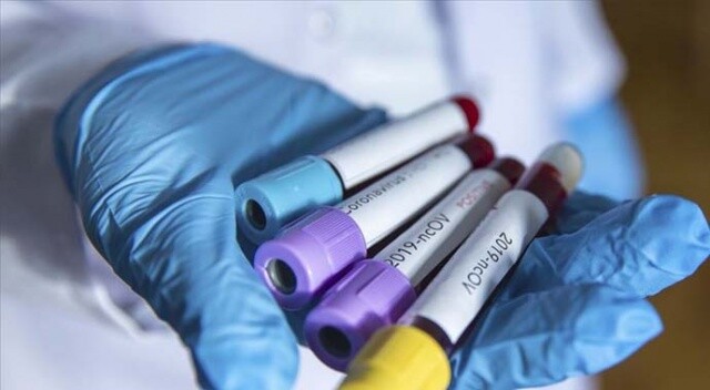 Katar, Fas ve Ürdün&#039;de koronavirüs vakaları arttı