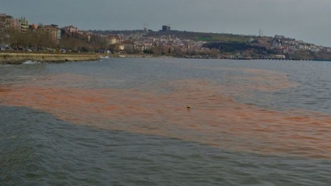 Marmara Denizi turuncuya boyandı