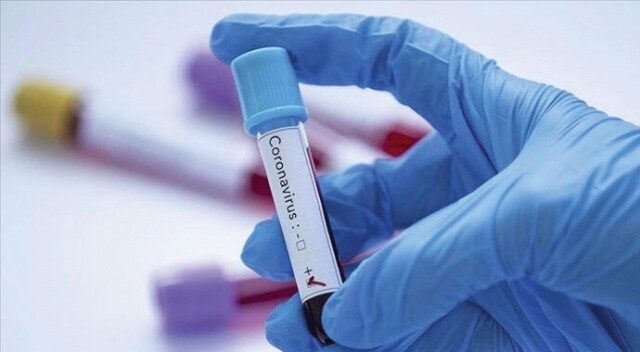 Yeni tip koronavirüs salgınında son 24 saat