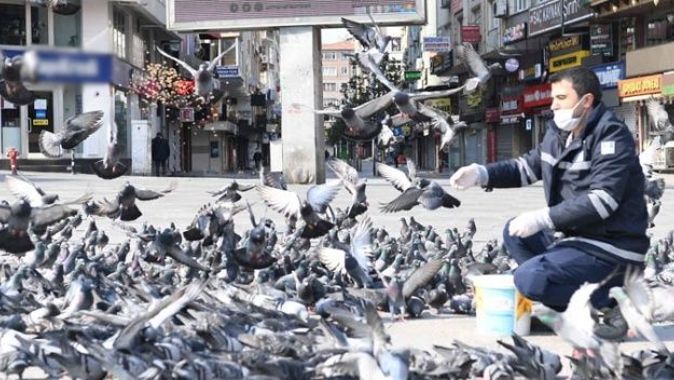 İstanbul&#039;da sokak hayvanlarına mama desteği