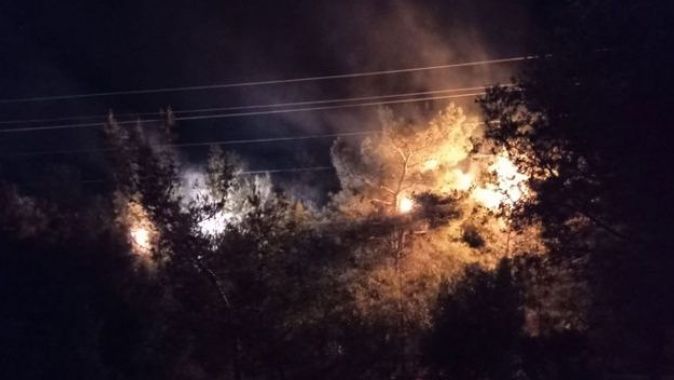 İzmir&#039;de ormanlık alanda çıkan yangın söndürüldü
