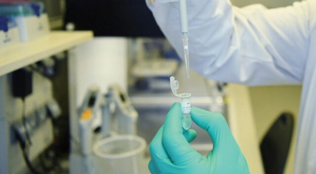Umut veren gelişme: İki aşı için testler başladı