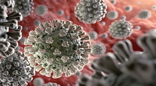 Koronavirüs hakkında çıkan haber sayısı 20 milyona yaklaştı
