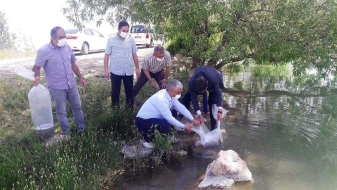 Malatya’da göletlere 50 bin balık bırakıldı
