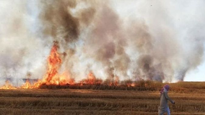 YPG/PKK Deyrizor’da sivillerin tarım arazilerini yaktı