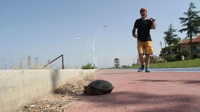 &#039;Beton set&#039; engelinden göle geçemeyen kaplumbağalara vatandaşlar yardım ediyor