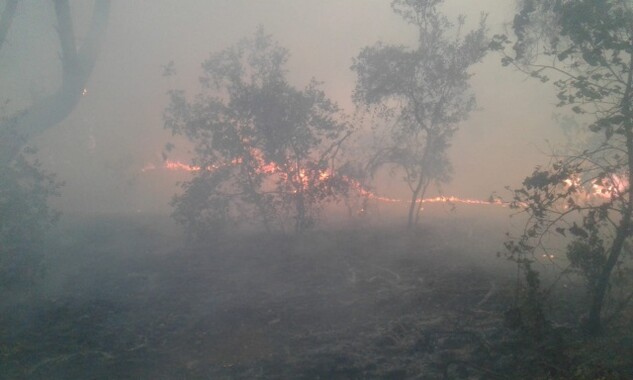 Ataşehir’de ambalaj fabrikasında yangın