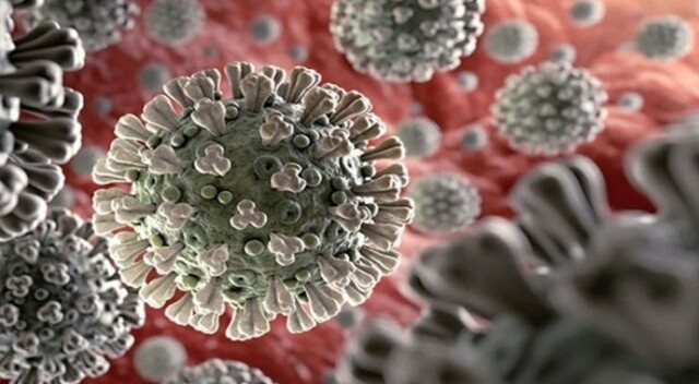 Koronavirüs hakkında çıkan haber sayısı 25 milyonu aştı