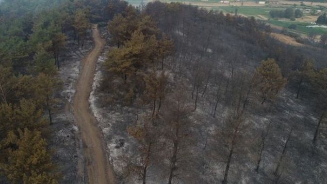 Bakan Pakdemirli: Gelibolu Yarımadası&#039;nda çıkan orman yangını kontrol altına alındı