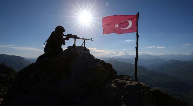 Bebek katili YPG/PKK&#039;ya haziranda ağır darbe