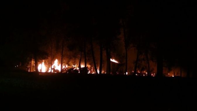 Çöp dökülen alanda başlayan yangın ağaçlara sıçradı