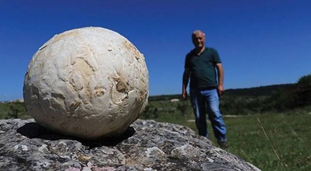 Futbol topu sandı, 5 kilogram ağırlığında mantar çıktı
