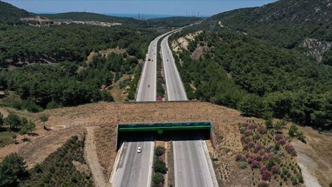 İzmir-Çeşme Otoyolu üzerindeki &#039;ekolojik köprünün&#039; yapımı tamamlandı